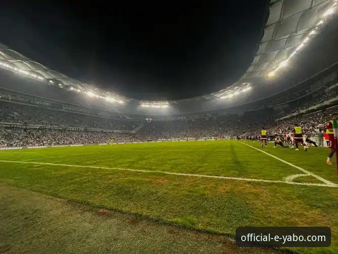 通过亚博YABO竞彩赔率分析功能，深度解读亚历山大47分加时赛制胜教程