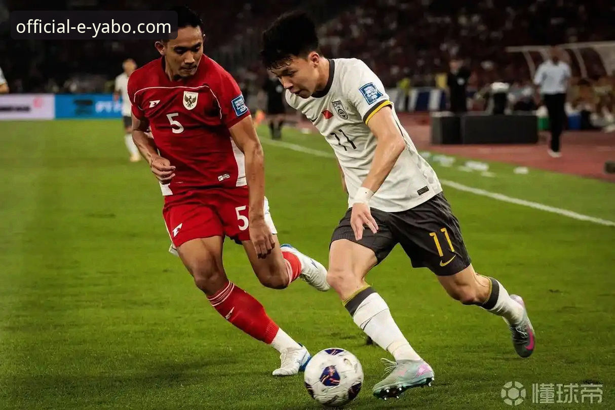 意大利无缘世界杯深度解析与亚博平台观赛体验